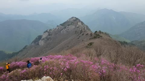 Korean flag and scenery on top of the mountain