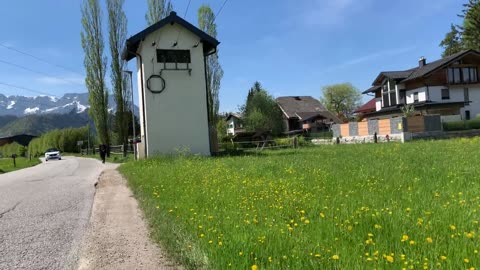 Walking in Bad Vigaun, Austria｜May 2023｜Shorts #030