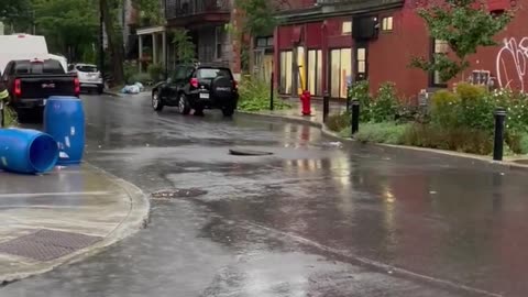 Canadian Ninja Turtles Attempt Sewer Escape || Viral Verse