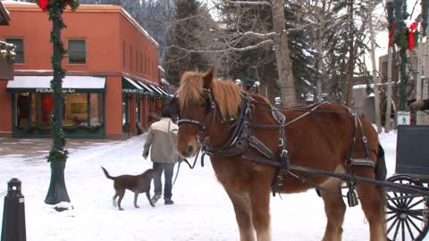 Aspen Horse Drawn Carriage