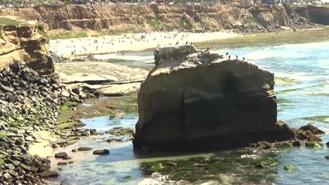 The Ocean, Weathered Cliffs and Pounding Waves, What Else Can You Ask For?