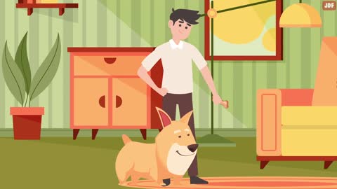 10 odd Dog behaviours and what they actually mean.