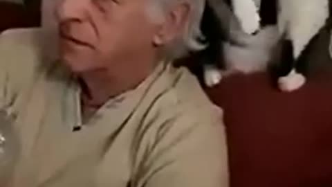 CATS SCRATCHES OWNERS HEAD
