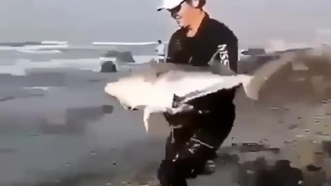 Man dropping fish in the sea