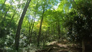 Wildcat Trail Berm Park