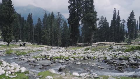 "Unveiling the Hidden Gem: Exploring a Beautiful Village in Kashmir"