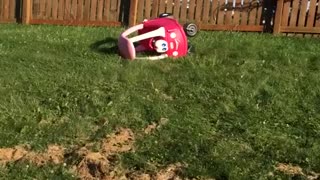 Kid tries to ride on top of toy car