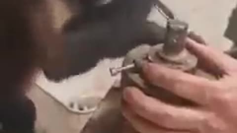 Mechanic Monkey