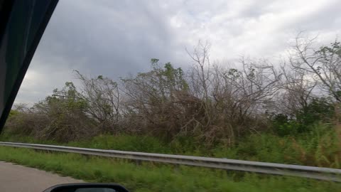 (00082) Part One (P) - Rural Miami-Dade County. Sightseeing America!