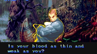 DARKSTALKERS • The Night Warriors [Capcom, 1994]