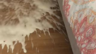 Champagne Spills After Cork Popping Surprise