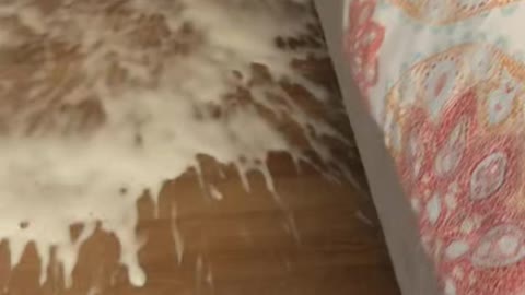 Champagne Spills After Cork Popping Surprise