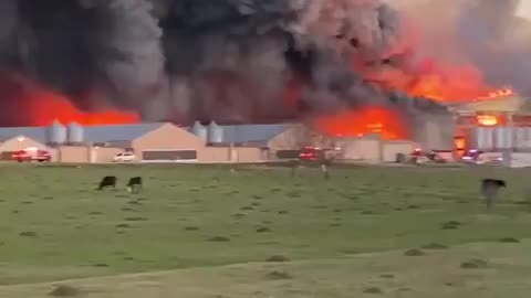 Multiple fire departments are currently battling a massive fire at a poultry farm Brazos County.