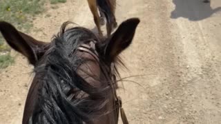 Just riding horses