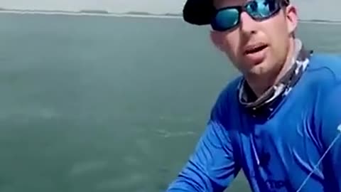 A man catches the largest fish in the world