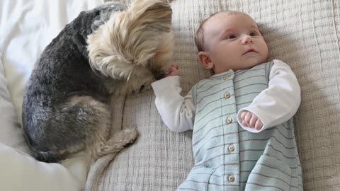 Cute baby and Cute Dog