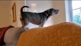 Penny sees a walker