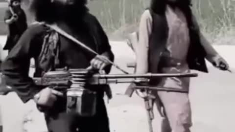Afghan Taliban shorts