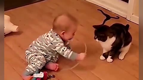 Children playing with pets , funny video