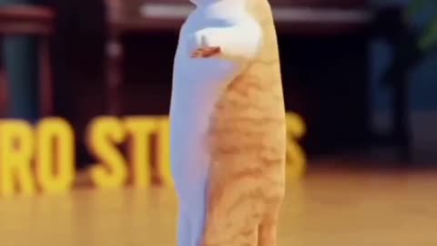 cat dancing #funnyCATvideo