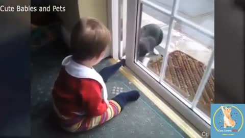 Baby and Cats Playing Together Funny Baby and Pets Moments 2022