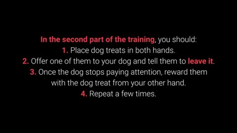 Dog Training -Top 10 Essential Command Every should know