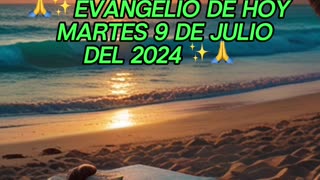 🙏✨Evangelio de HOY Martes 9 de Julio del 2024 ✨🙏