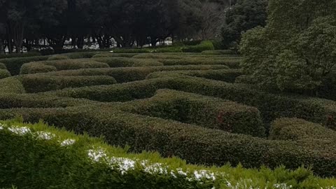 Jeju maze land short view