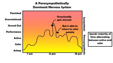 How Nervous Is Your Nervous System_ Anxiety Skills #3