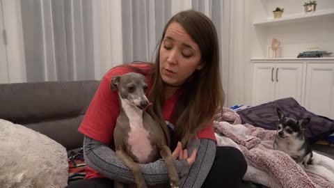 Filmed her Dog whenever he cried or Was Nasty for 24 Hours