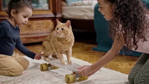 Kids Playing With Their Cat On A Skateboard