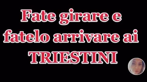 Attenzione per il porto di Trieste, informazioni importanti ma da prendere con le pinze