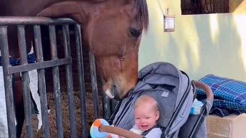 Baby Boy Met the Horse Very First Time in His life | Cute and Funny Video