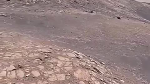 This Is MARS?