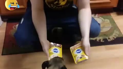 Dog picks his own dinner