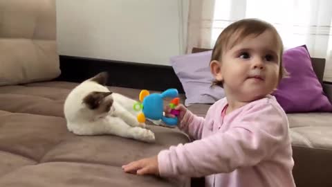 Cute_Baby_Funny_Playing_with_a_Kitten