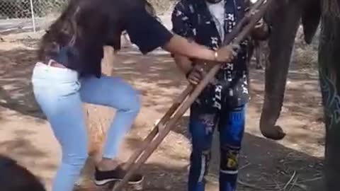 Elephants Ride, girl funny video