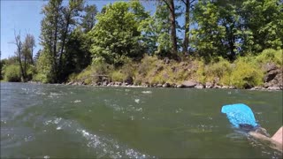 Willamette River Float From Clearwater Boat Landing to Skinner butte