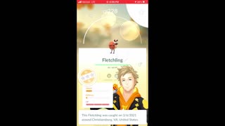 Pokemon Go - Fletchling Community Day