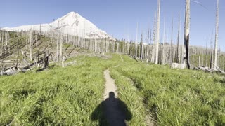 Alpine Hiking on Tilly Jane Trail – Mount Hood – Oregon – 4K