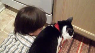 A boy's Best friend is sometimes a cat named Foxy who loves giving cat kisses.