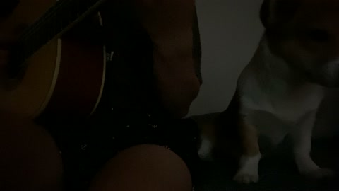 Playing the guitar with Corgi's dog
