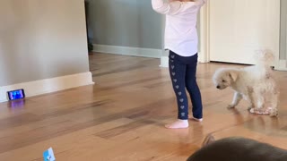 Daughter practicing for backup dancer position.