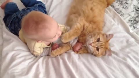 Cats see Babies first time