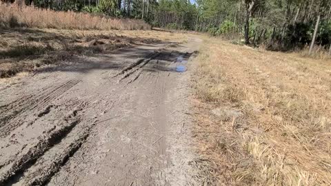 Resilience Talk on my way to do Florida Trail Work Hiking a Dirt Road North of CR314