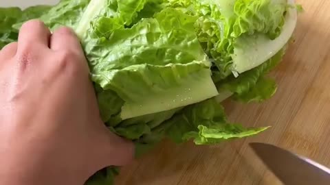 How to Regrow Lettuce from a Stem