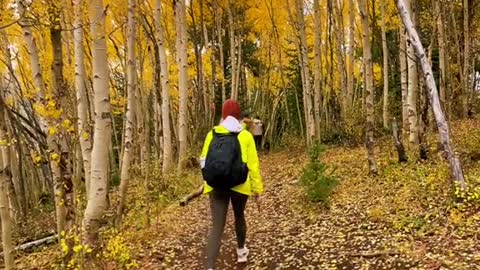 Easy fall hike you should add to your list