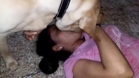 Dog Kiss love