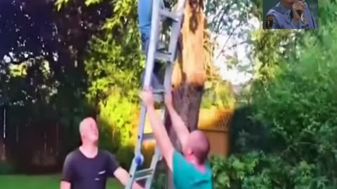 Ladder Fails