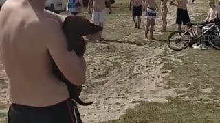 THIS DOG LOVES THE WATER SO MUCH~WATCH THIS!